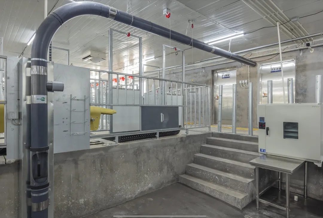 尊龙凯时 - 人生就是搏!