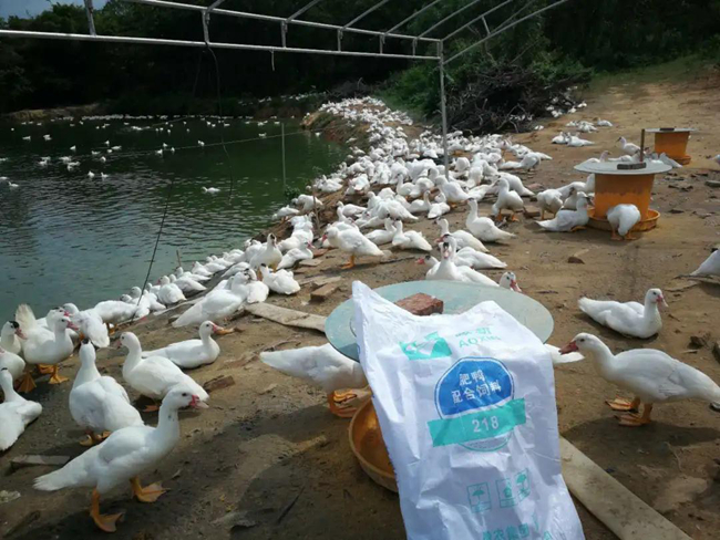 尊龙凯时 - 人生就是搏!