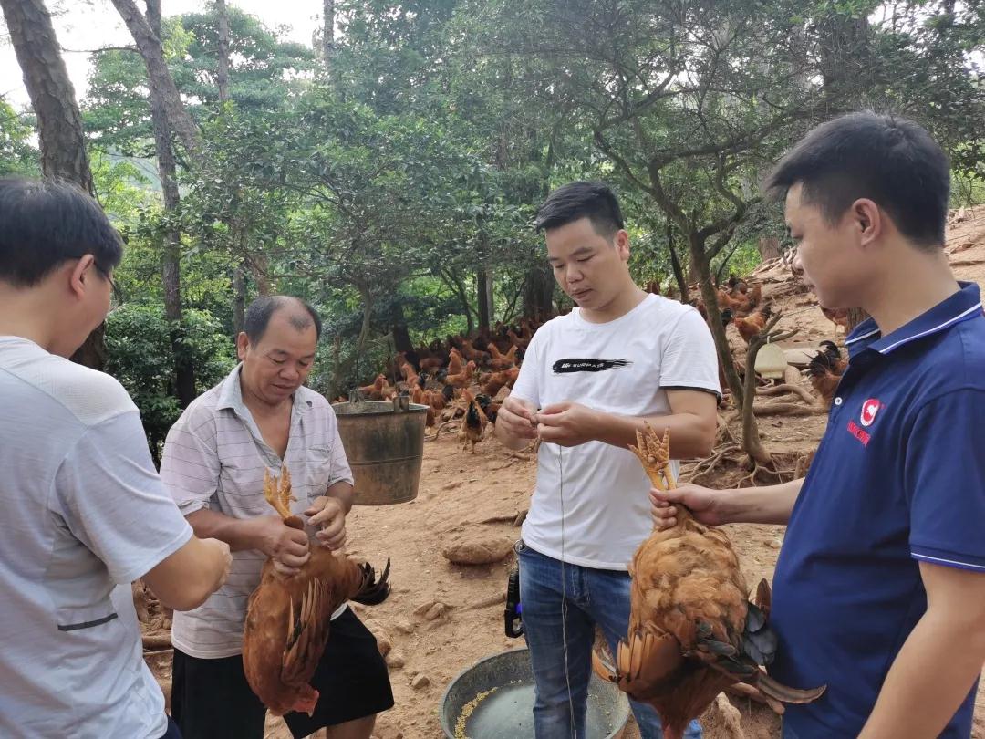 尊龙凯时 - 人生就是搏!