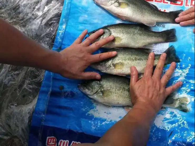 尊龙凯时 - 人生就是搏!