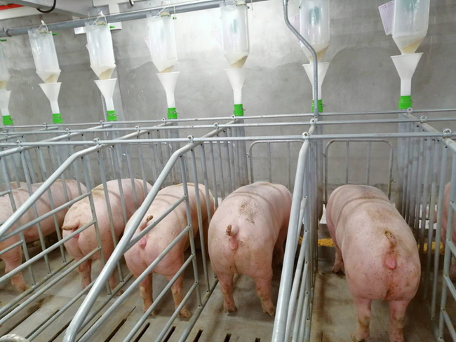 尊龙凯时 - 人生就是搏!