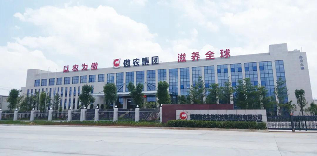 尊龙凯时 - 人生就是搏!