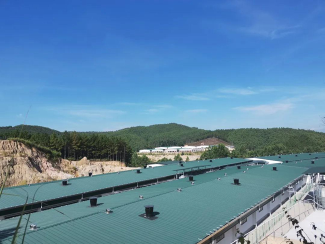 尊龙凯时 - 人生就是搏!