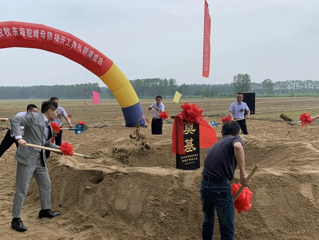 尊龙凯时 - 人生就是搏!