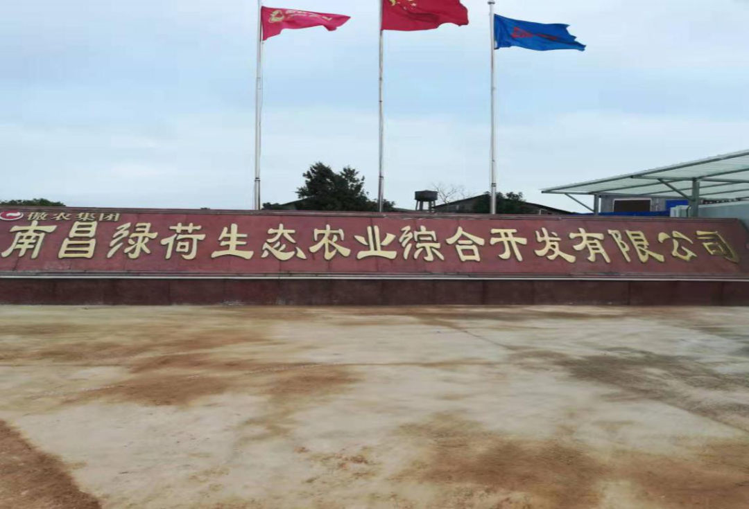 尊龙凯时 - 人生就是搏!