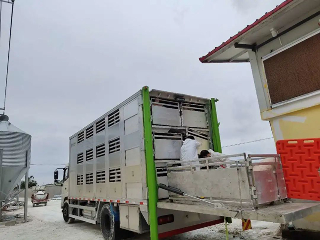 尊龙凯时 - 人生就是搏!