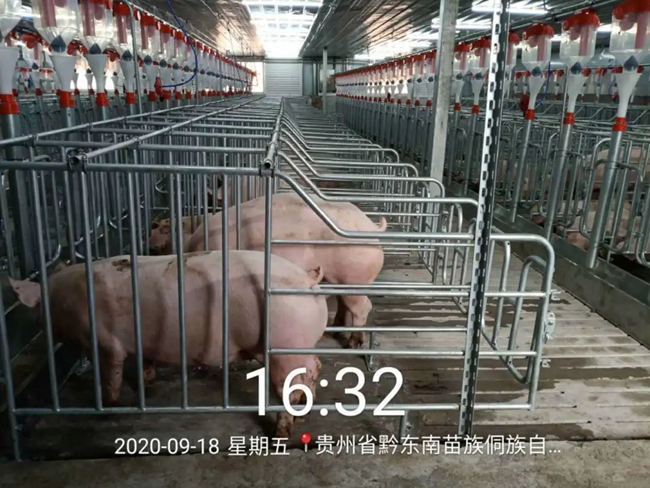 尊龙凯时 - 人生就是搏!