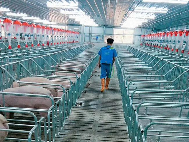 尊龙凯时 - 人生就是搏!