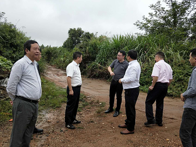 尊龙凯时 - 人生就是搏!