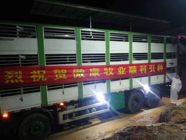 尊龙凯时 - 人生就是搏!