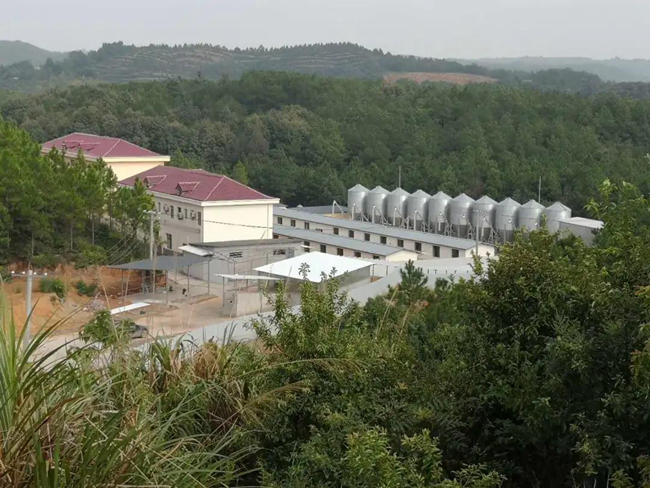 尊龙凯时 - 人生就是搏!