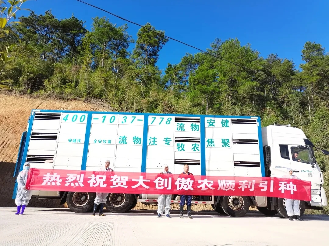 尊龙凯时 - 人生就是搏!