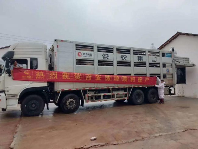 尊龙凯时 - 人生就是搏!