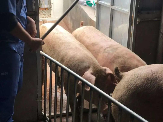 尊龙凯时 - 人生就是搏!