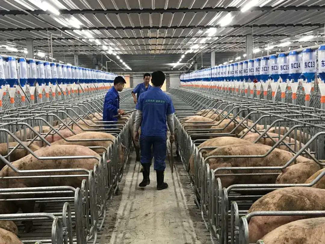 尊龙凯时 - 人生就是搏!