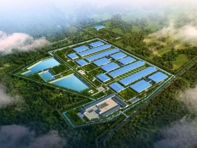 尊龙凯时 - 人生就是搏!