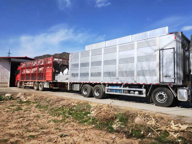 尊龙凯时 - 人生就是搏!