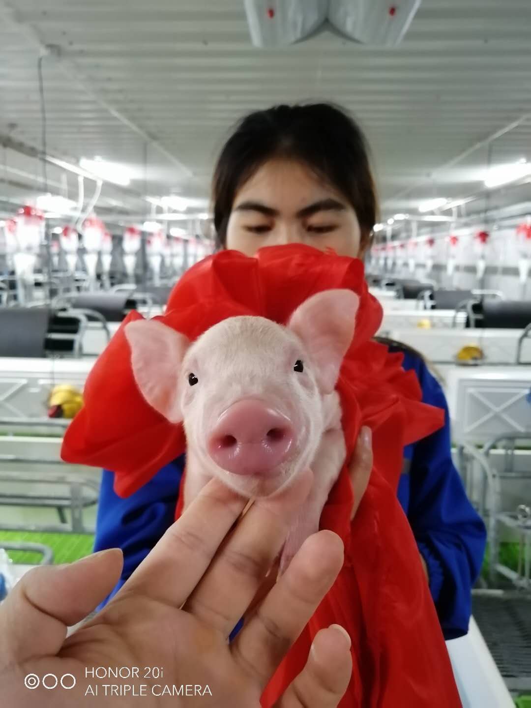 尊龙凯时 - 人生就是搏!