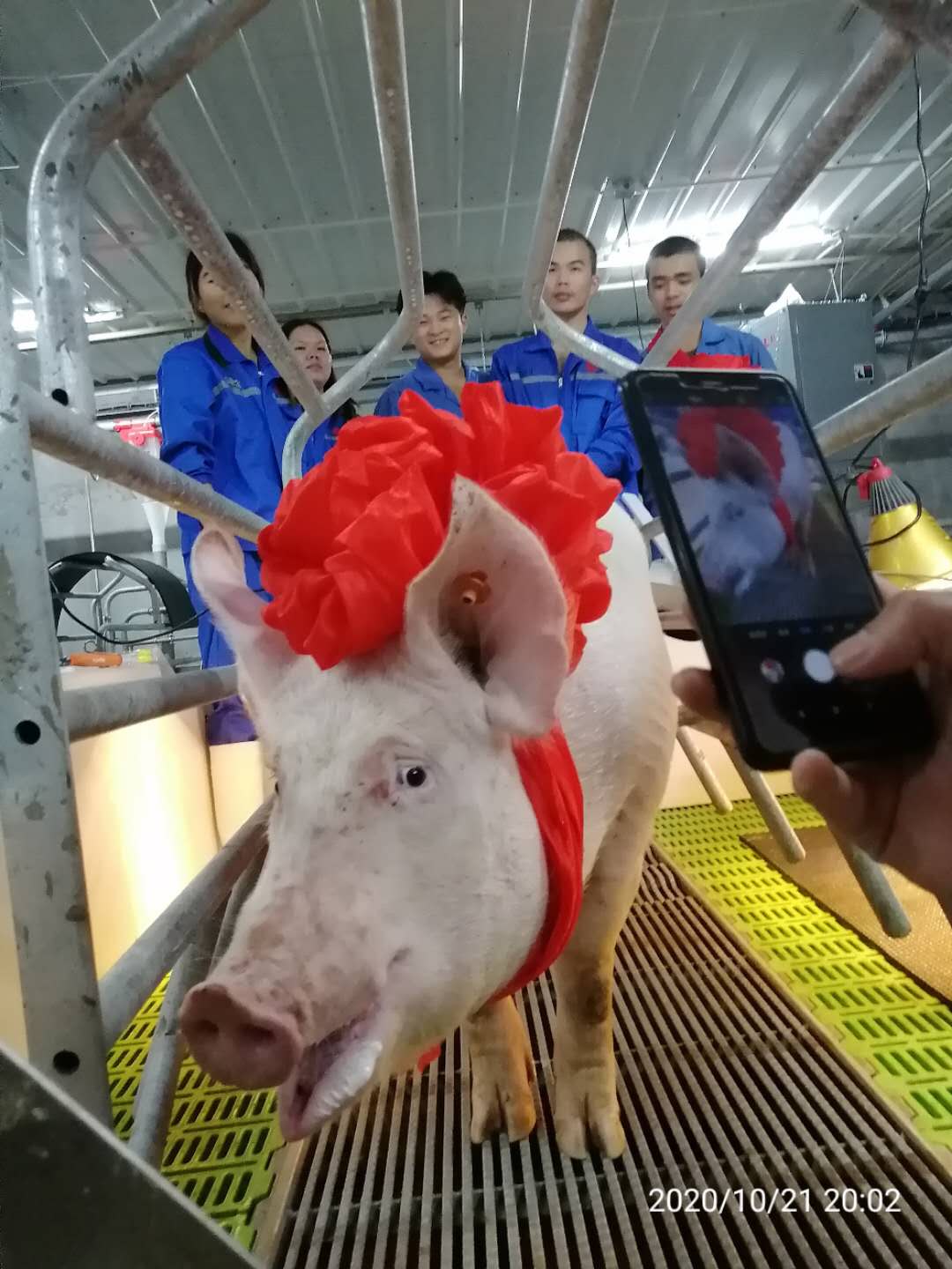 尊龙凯时 - 人生就是搏!