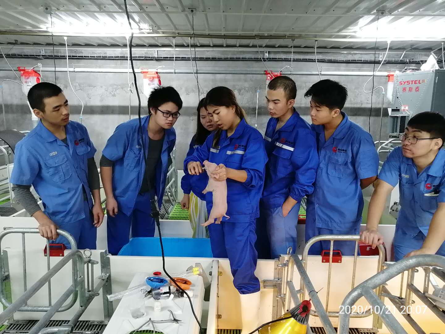 尊龙凯时 - 人生就是搏!