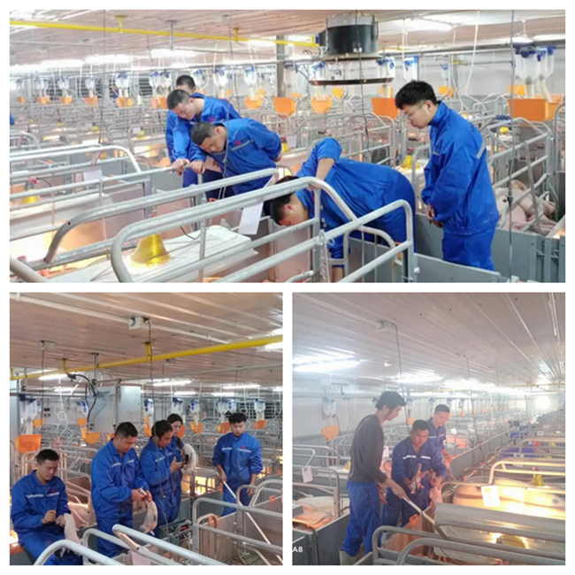 尊龙凯时 - 人生就是搏!