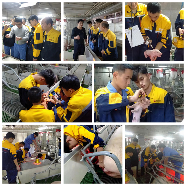 尊龙凯时 - 人生就是搏!