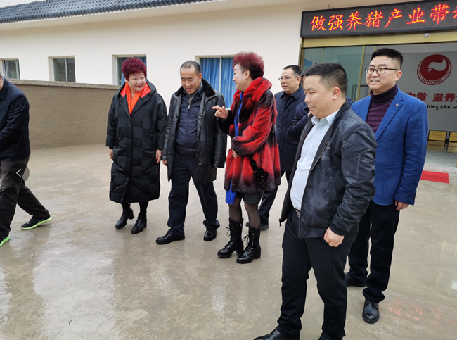 尊龙凯时 - 人生就是搏!