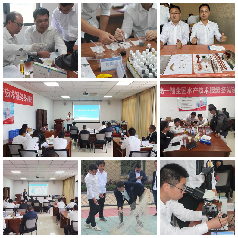 尊龙凯时 - 人生就是搏!