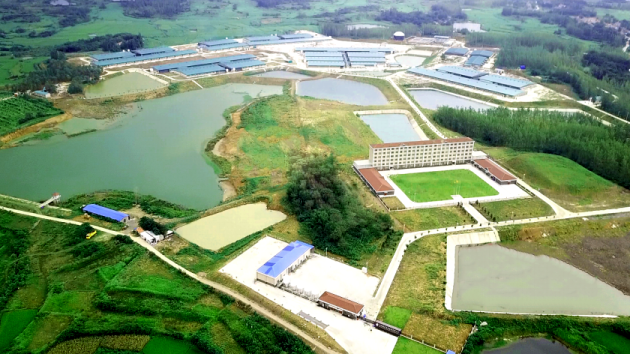 尊龙凯时 - 人生就是搏!