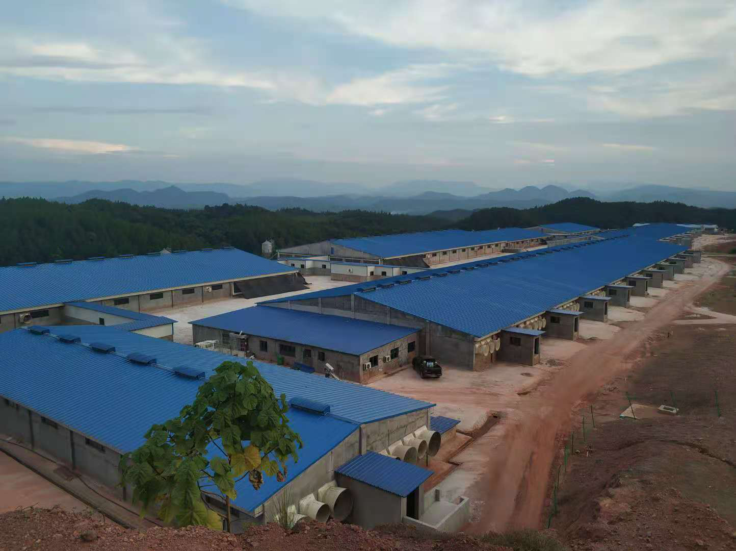 尊龙凯时 - 人生就是搏!