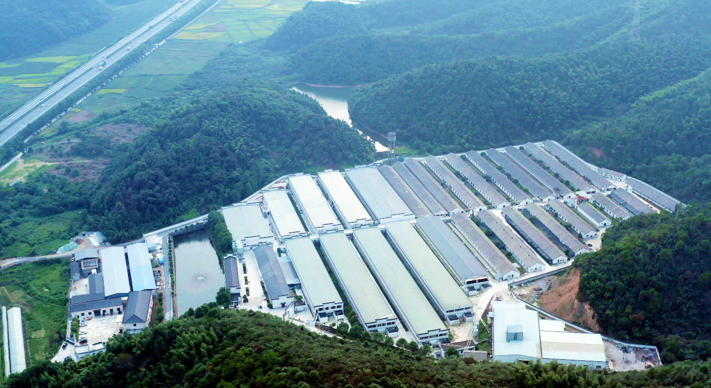 尊龙凯时 - 人生就是搏!