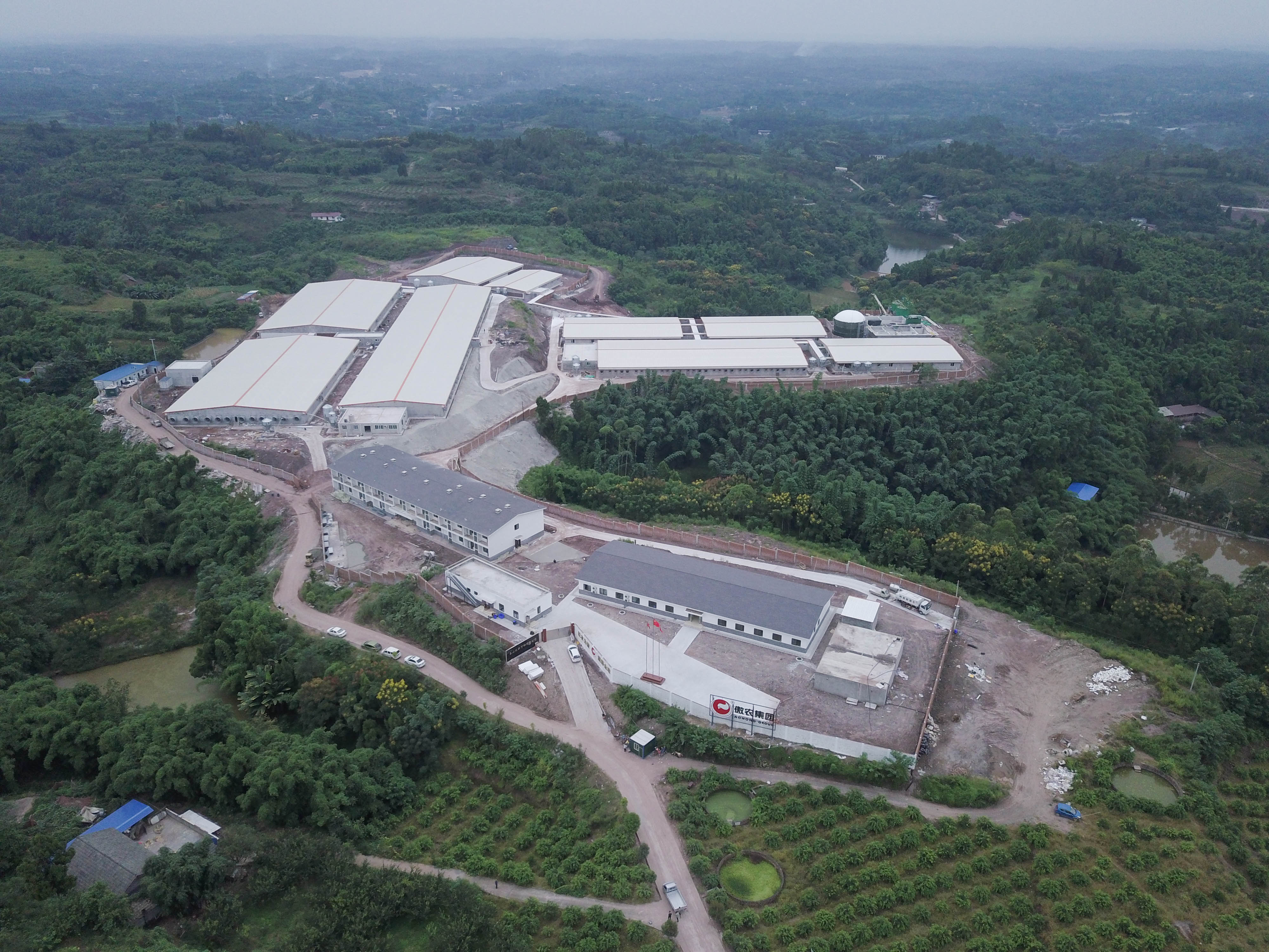 尊龙凯时 - 人生就是搏!