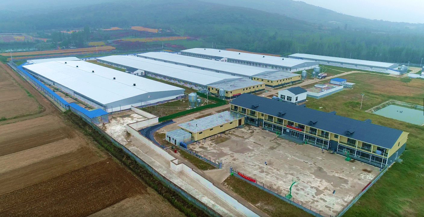 尊龙凯时 - 人生就是搏!