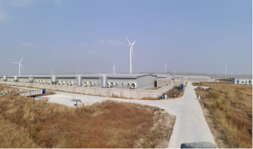 尊龙凯时 - 人生就是搏!