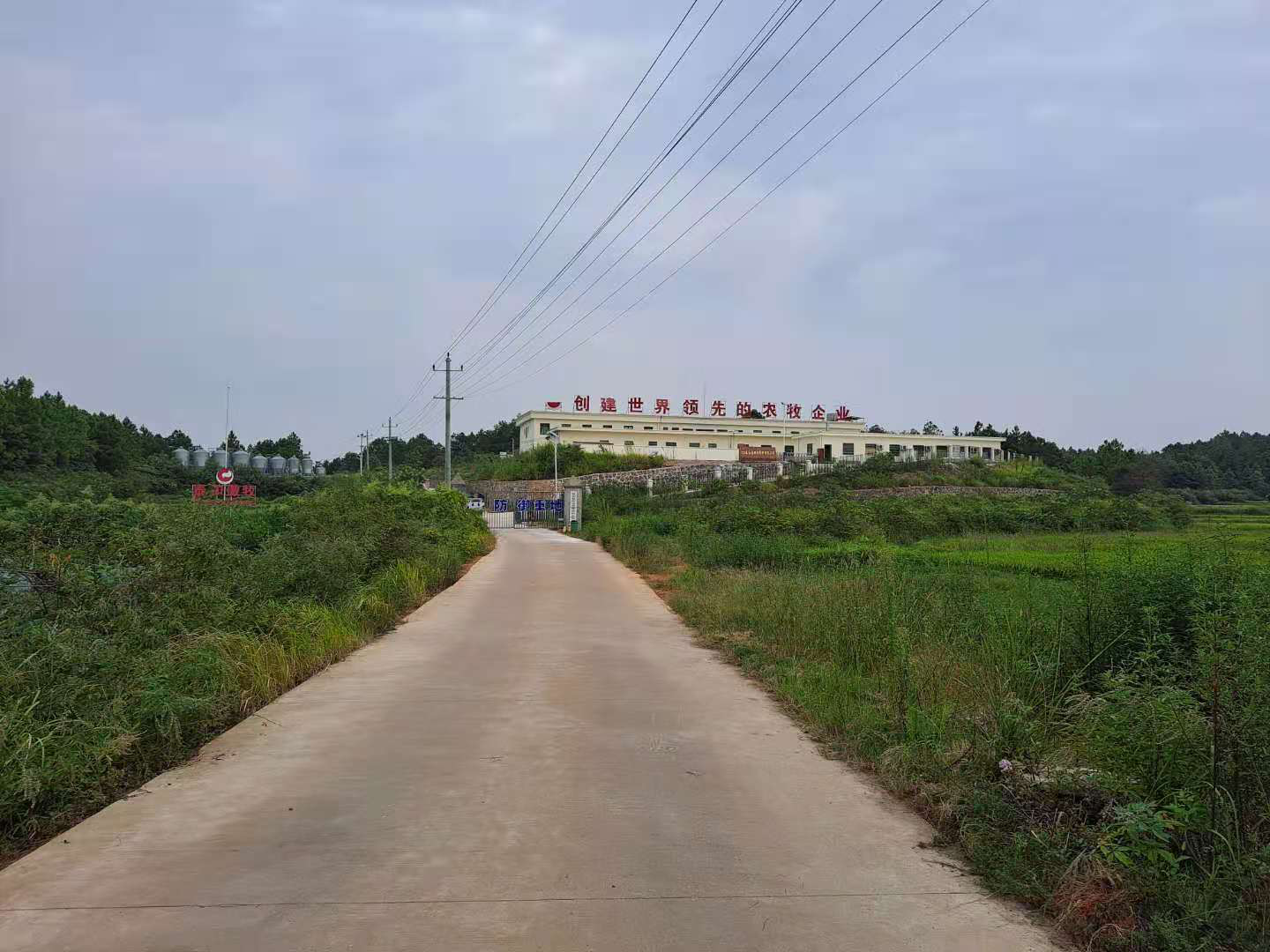 尊龙凯时 - 人生就是搏!