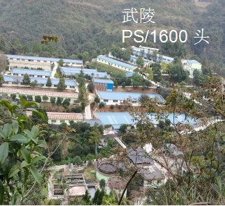 尊龙凯时 - 人生就是搏!