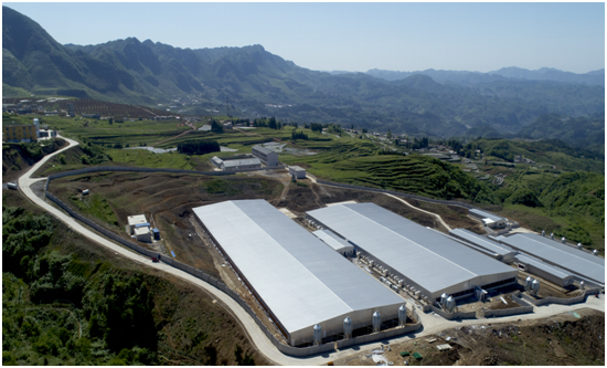 尊龙凯时 - 人生就是搏!