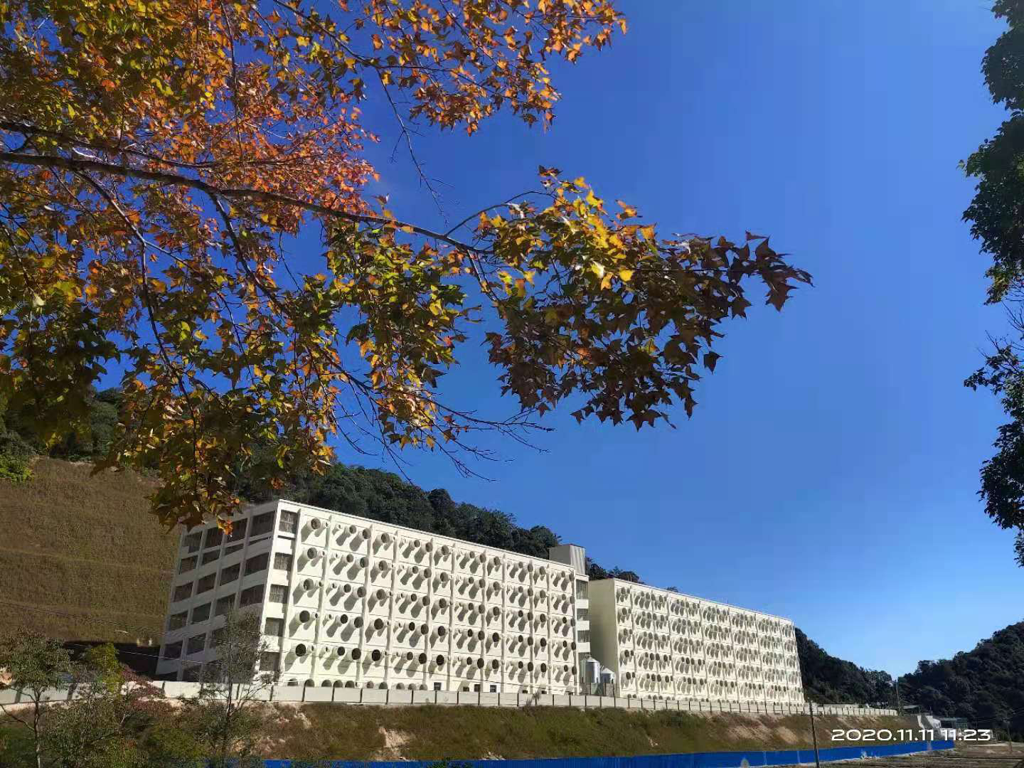 尊龙凯时 - 人生就是搏!