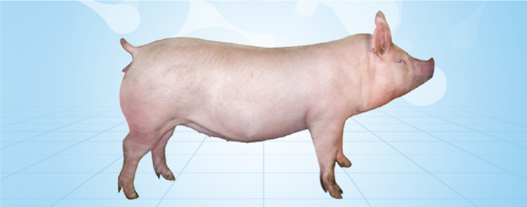 尊龙凯时 - 人生就是搏!