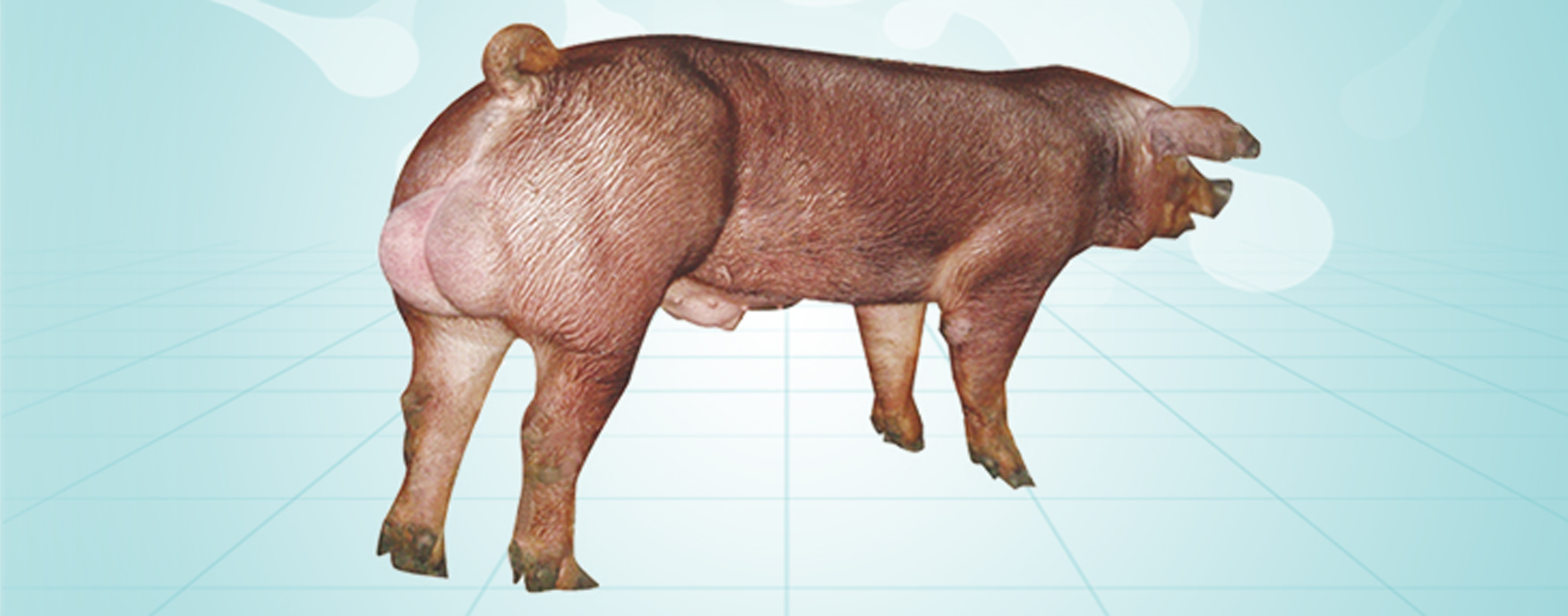 尊龙凯时 - 人生就是搏!