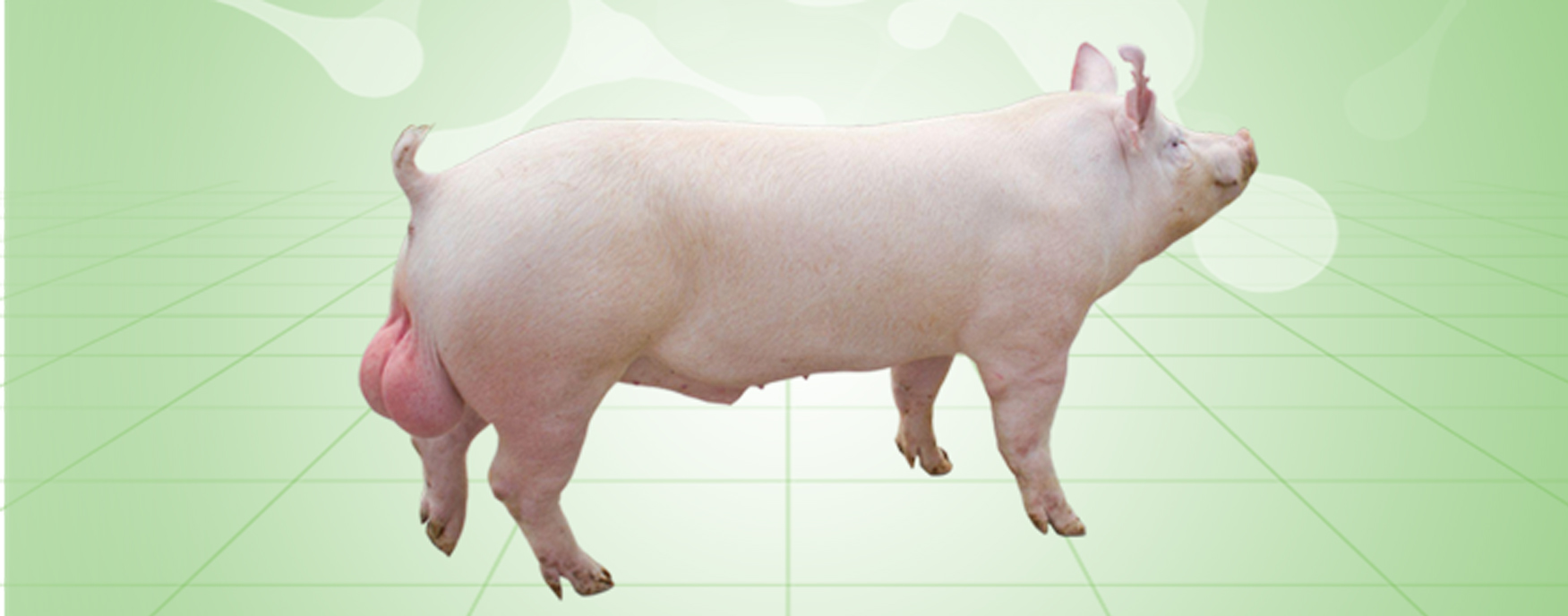 尊龙凯时 - 人生就是搏!