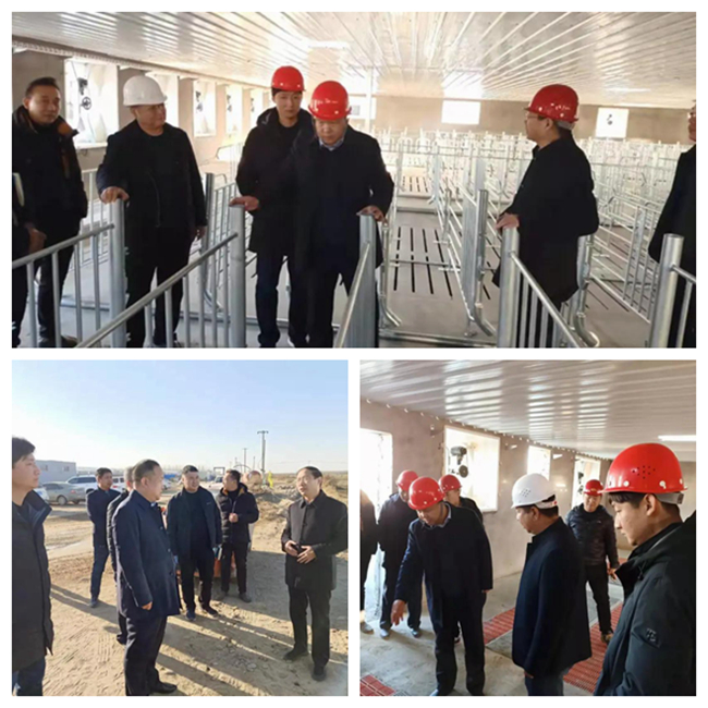 尊龙凯时 - 人生就是搏!