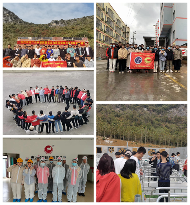 尊龙凯时 - 人生就是搏!