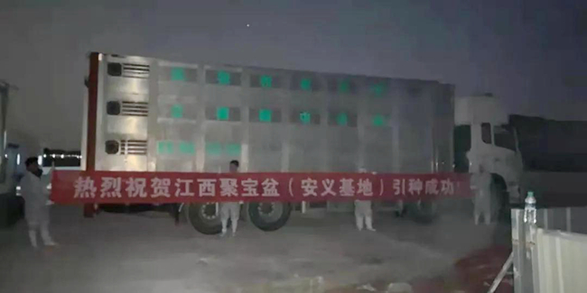 尊龙凯时 - 人生就是搏!