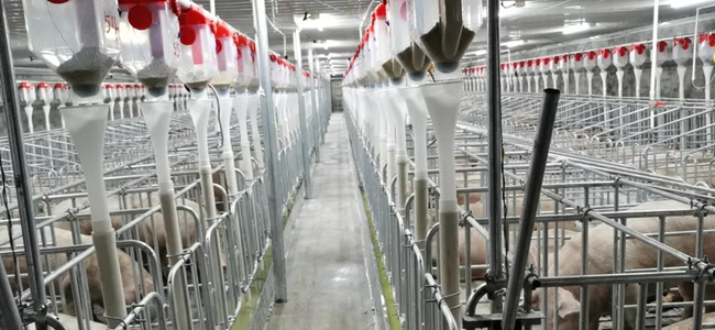 尊龙凯时 - 人生就是搏!