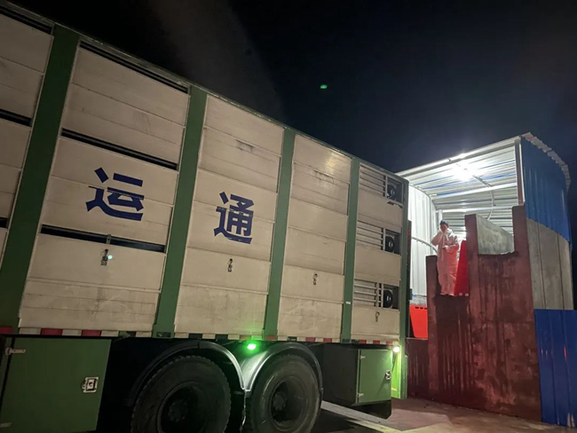 尊龙凯时 - 人生就是搏!