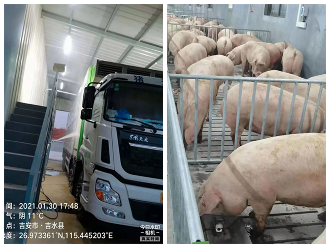 尊龙凯时 - 人生就是搏!