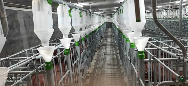 尊龙凯时 - 人生就是搏!