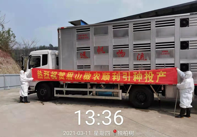 尊龙凯时 - 人生就是搏!