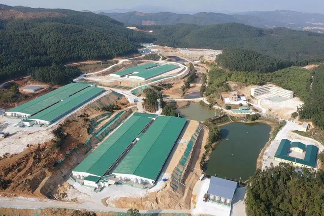 尊龙凯时 - 人生就是搏!